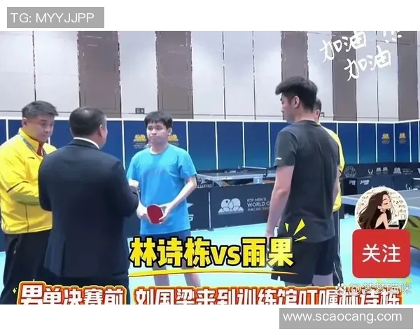 上海乒乓球队意识争议引发热议球迷对运动员表现的不同看法与期待