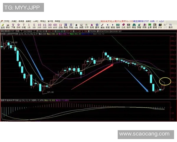 南京网球队在世界杯中的速度表现分析与点评