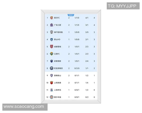 成都足球队在联合会杯积分榜上以75分稳居第一名展现强劲实力