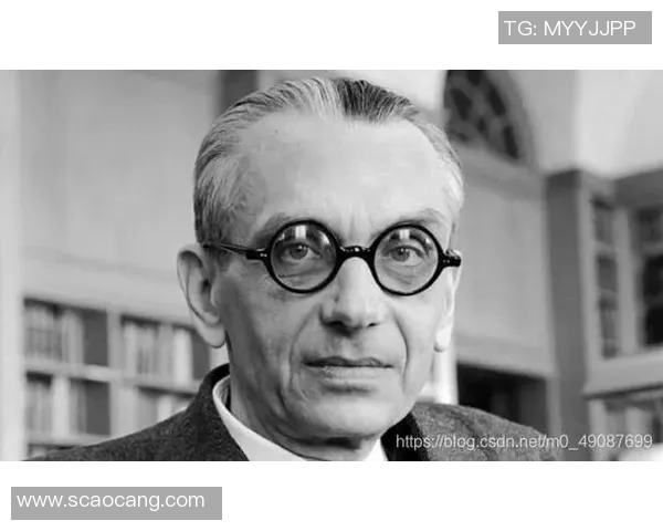 法国足球明星国王的传奇人生与辉煌成就解析