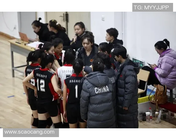 西安排球队灵活性展现杯赛表现的深度分析与点评