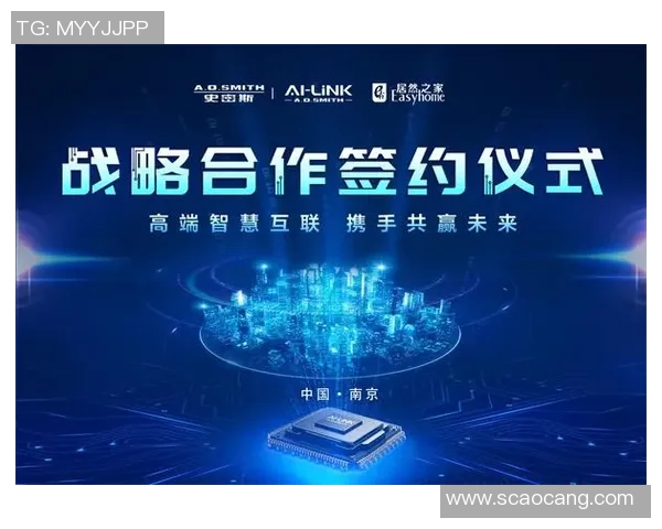 成都羽毛球队转型之路：探索新策略与未来发展方向