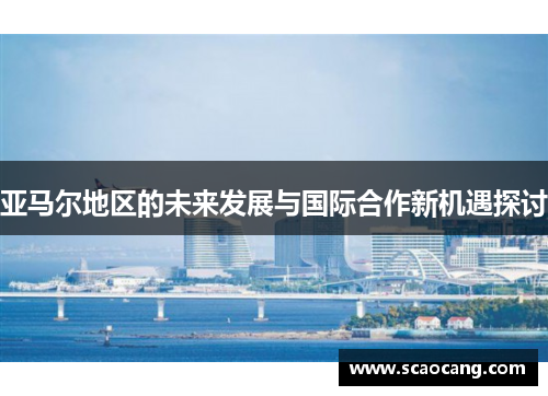 亚马尔地区的未来发展与国际合作新机遇探讨