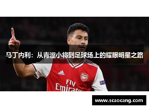 马丁内利：从青涩小将到足球场上的耀眼明星之路